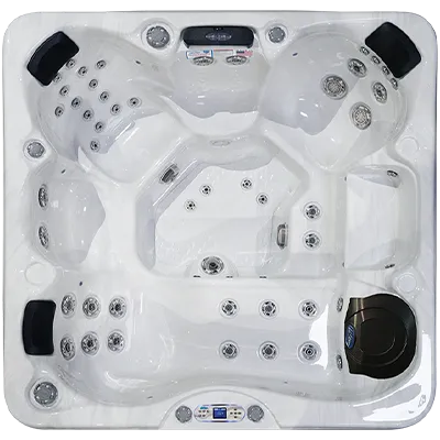 Avalon EC-849L hot tubs for sale in Tempe