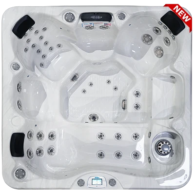 Avalon-X EC-849LX hot tubs for sale in Tempe